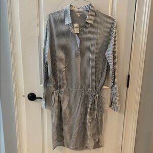 GAP Blue and White Striped Shirt